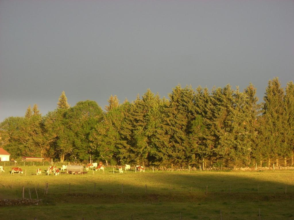 Les Roulottes De La Ferme Des Chanaux Saint-Julien-d'Ance
